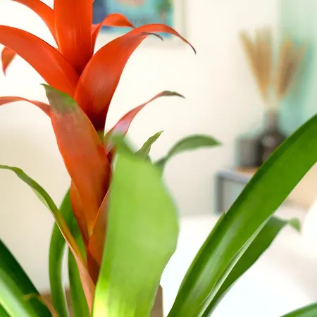 아파트 Avec Vue Panoramique 툴롱